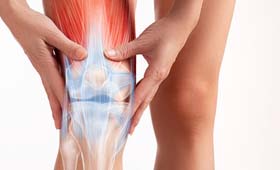 Orthopedics