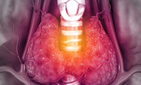 Endocrinology