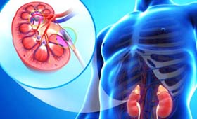 Nephrology