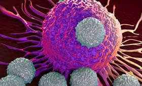 Oncology